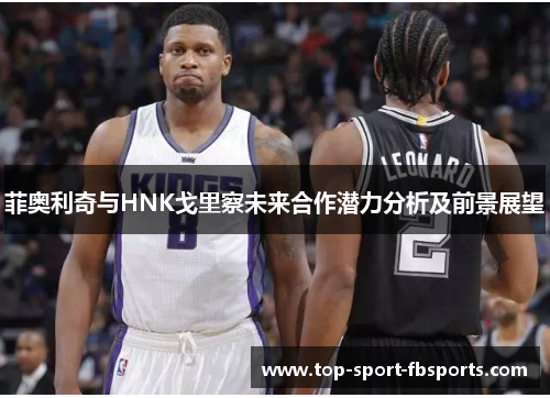 菲奥利奇与HNK戈里察未来合作潜力分析及前景展望 菲奥利奇与HNK戈里察未来合作潜力分析及前景展望