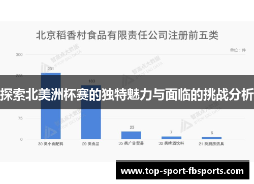 探索北美洲杯赛的独特魅力与面临的挑战分析