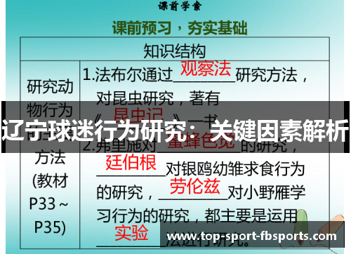 辽宁球迷行为研究：关键因素解析