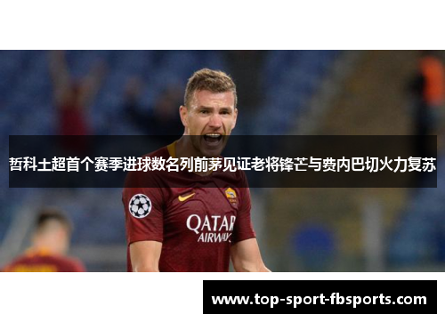 哲科土超首个赛季进球数名列前茅见证老将锋芒与费内巴切火力复苏