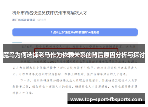 魔鸟为何选择老马作为依赖关系的背后原因分析与探讨